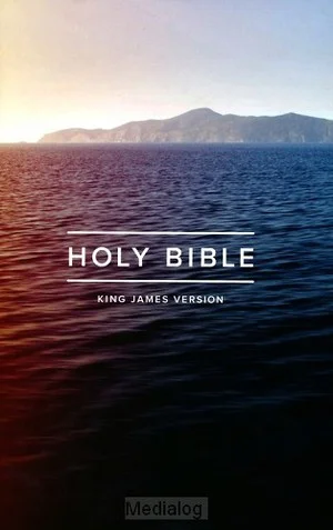 Kjv - Outreach Bible Finale Uitverkoop
