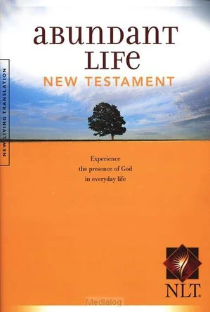 Nlt - New Testament Abundant Life Beperkte Voorraad