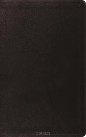 Nieuw Esv - Value Thinline Bible