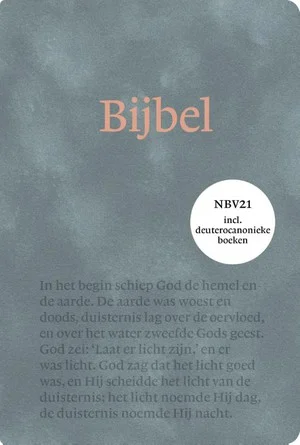Fabrieksprijs Nbv21 Handbijbel Met Dc