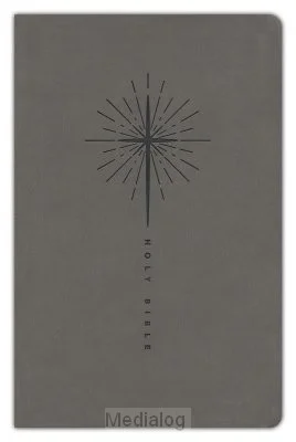 Nlt - Gift Bible Hoge Kwaliteit