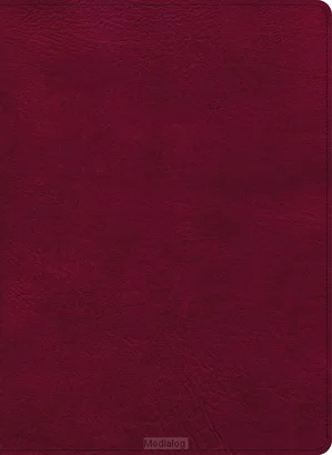 Csb - Holy Land Illustrated Bible Betaalbaar