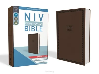 Beperkte Voorraad Niv - Lp Value Bible