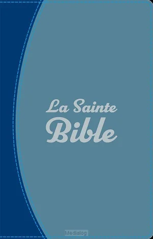 Actieprijs Segond 1910 - Bible French