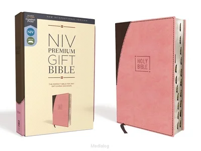 Lage Prijs Niv - Premium Gift Bible - Index