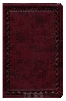 Voordeelprijs Esv - Gift Bible