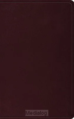 Direct Beschikbaar Esv - Thinline Bible