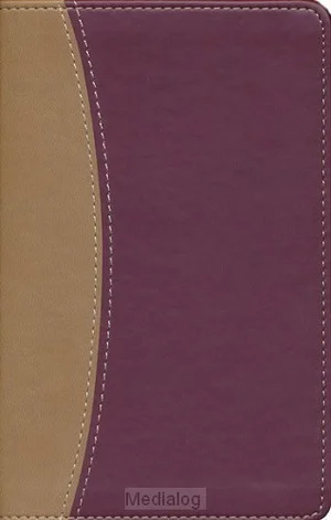 Tijdelijk Beschikbaar Amplified Bible