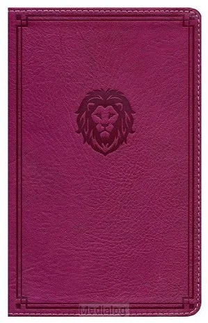 Nkjv - Thinline Bible Youth Edition Actieprijs