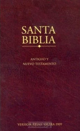 Rvr Economy Bible Colour Paperback Goedkoop