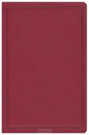 Koopje Csb - Deluxe Gift Bible
