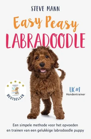 Premium Easy Peasy Labradoodle