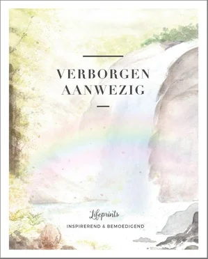 Verborgen aanwezig Lage Prijs