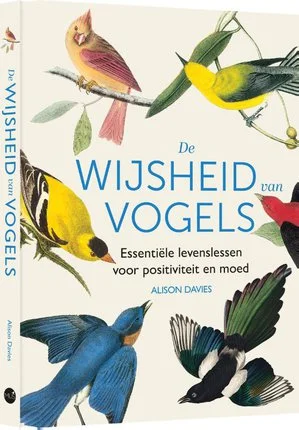 Meest Verkocht Wijsheid Van Vogels