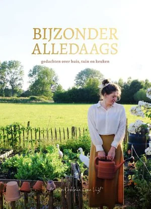 Bijzonder Alledaags Express Levering