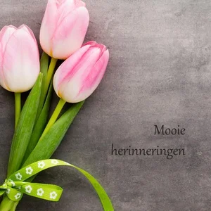 Lage Kosten Notitieboek Tulp + Elastieken Sluiting