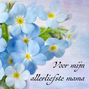 Laatste Kans Notitieboek Louise Allerliefste Mama