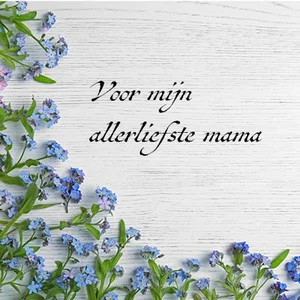 Seizoensaanbieding Voor Mijn Allerliefste Mama Juliette