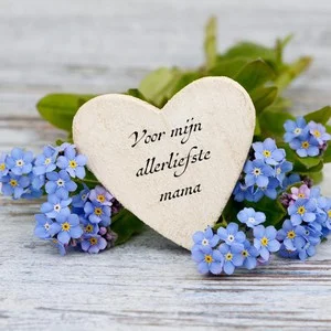Seizoensaanbieding Voor Mijn Allerliefste Mama + Pen Janet