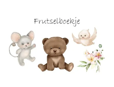 Beste Prijs Frutselboekje Thomas