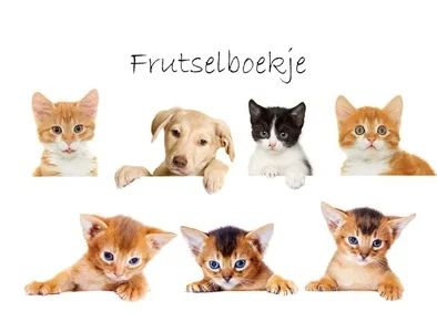 Frutselboekje Celia Gereduceerde Prijs