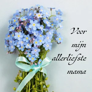 Voor Mijn Allerliefste Mama Tamara Koop Vandaag