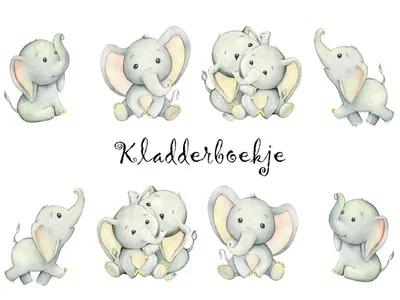 Kladderboekje Slurfje Dagaanbieding