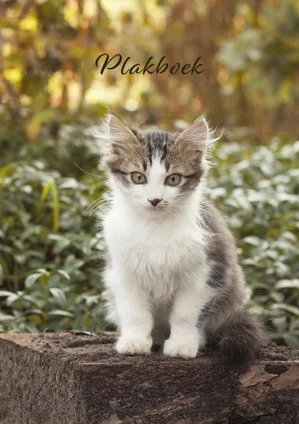 Goedkoop Plakboek Moortje