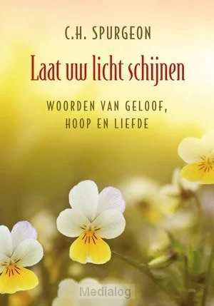 Laat Uw Licht Schijnen Veilige Betaling