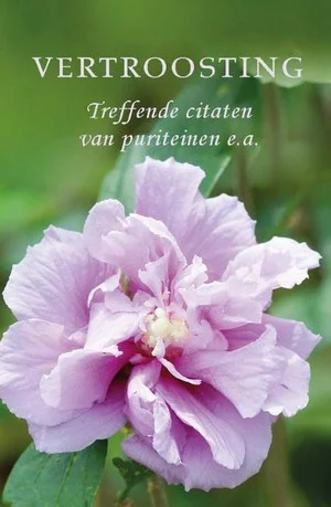 Fabrieksprijs Pareltje Vertroosting
