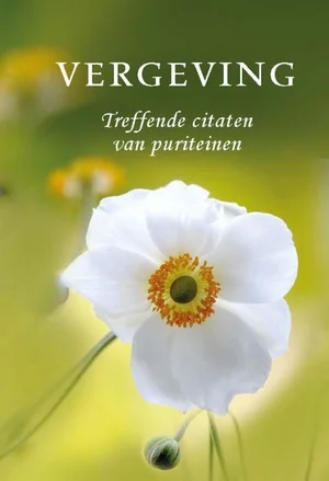 Betaalbaar Pareltje Vergeving