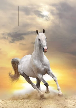 Exclusieve Aanbieding Schrijfschrift Dasi