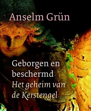 Snelle Levering Geborgen En Beschermd