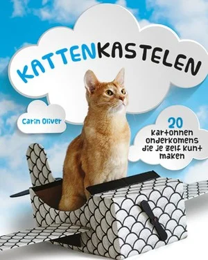 Direct Beschikbaar Kattenkastelen
