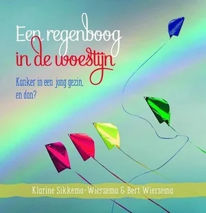 Gereduceerde Prijs Regenboog In De Woestijn