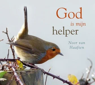 Direct Verzonden God Is Mijn Helper