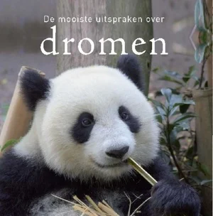 Bestel Nu Mooiste Uitspraken Over Dromen