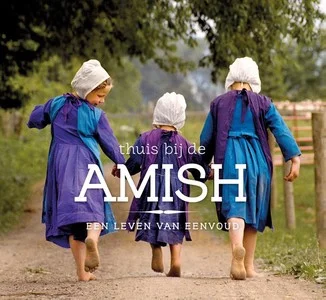 Rechtstreeks Van De Fabrikant Thuis Bij De Amish