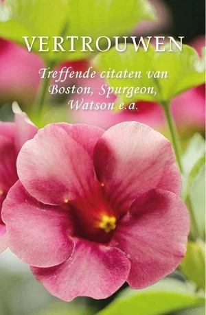Koop Online Pareltje Vertrouwen