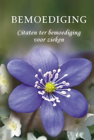 Pareltje Bemoediging Speciale Aanbieding