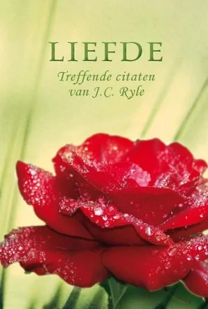 Pareltje Liefde Shop Nu