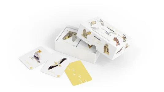 Roofvogels en Uilen memospel Hoge Kwaliteit