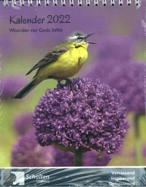 Rechtstreeks Van De Fabrikant Kalender 2022