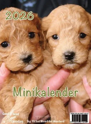 Minikalender 2026 Met Mooie Afbeeldingen Uitverkoop