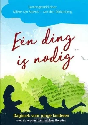 Een Ding Is Nodig Ing Direct Beschikbaar