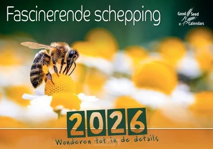 Kalender 2026 Fascinerende Schepping Snelle Levering