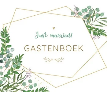 Just Married! - Gastenboek Goedkoop