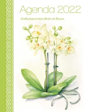 Mattie Agenda 2022 Laatste Kans