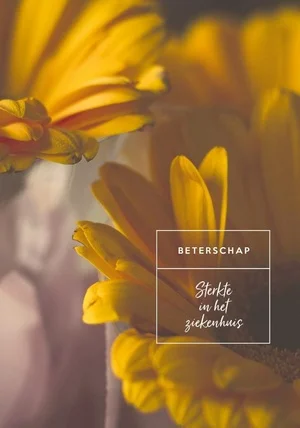 Beterschap Wensboekje Set3 Uitverkoop