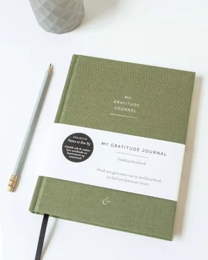 Rechtstreeks Van De Fabrikant My Gratitude Journal